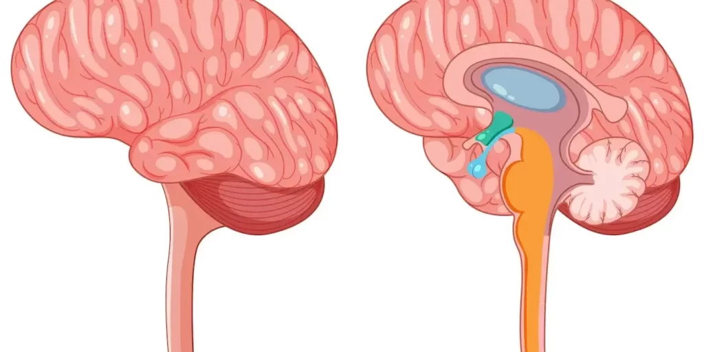 تومور سی پی انگل