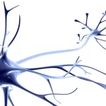 دردهای نوروپاتیک