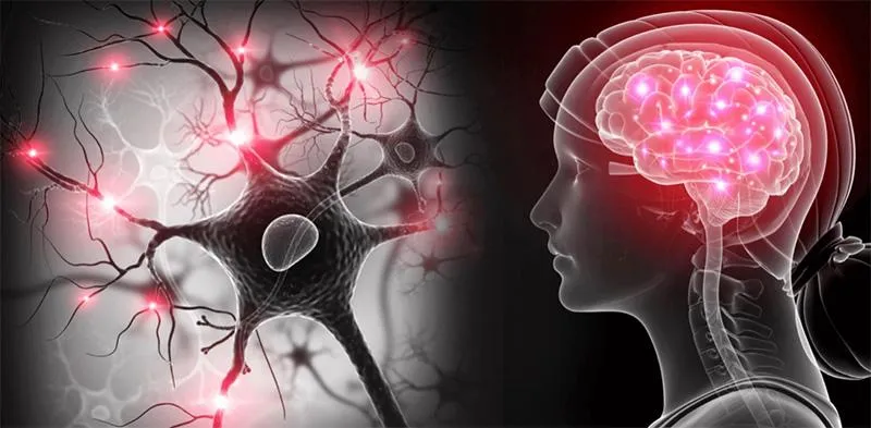 طول-عمر-بیماران-پارکینسون-چقدر-است؟